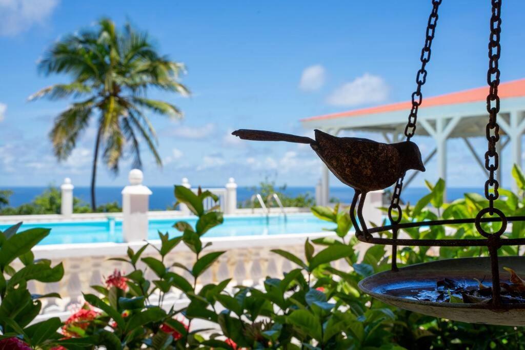Capesterre Domaine Des Tourterellesヴィラ エクステリア 写真