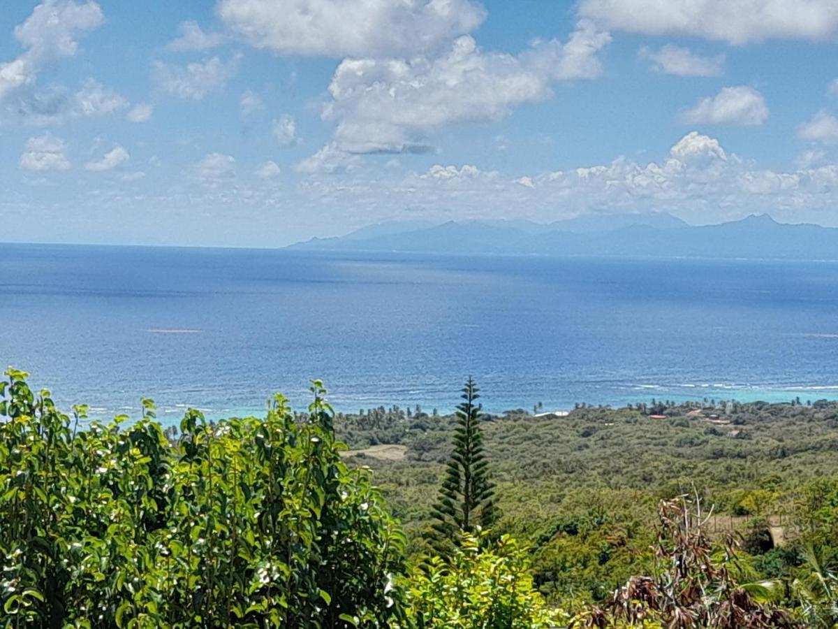Capesterre Domaine Des Tourterellesヴィラ エクステリア 写真