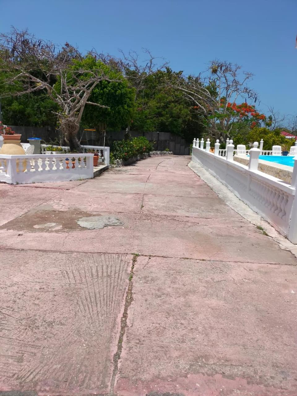 Capesterre Domaine Des Tourterellesヴィラ エクステリア 写真